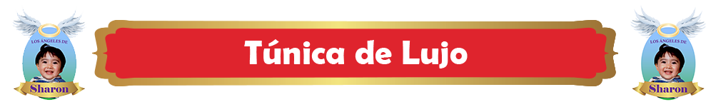 Talavera 13
